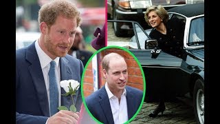 Parental Norms, Princess Diana Customized Her Jaguar For Princes William and Harry