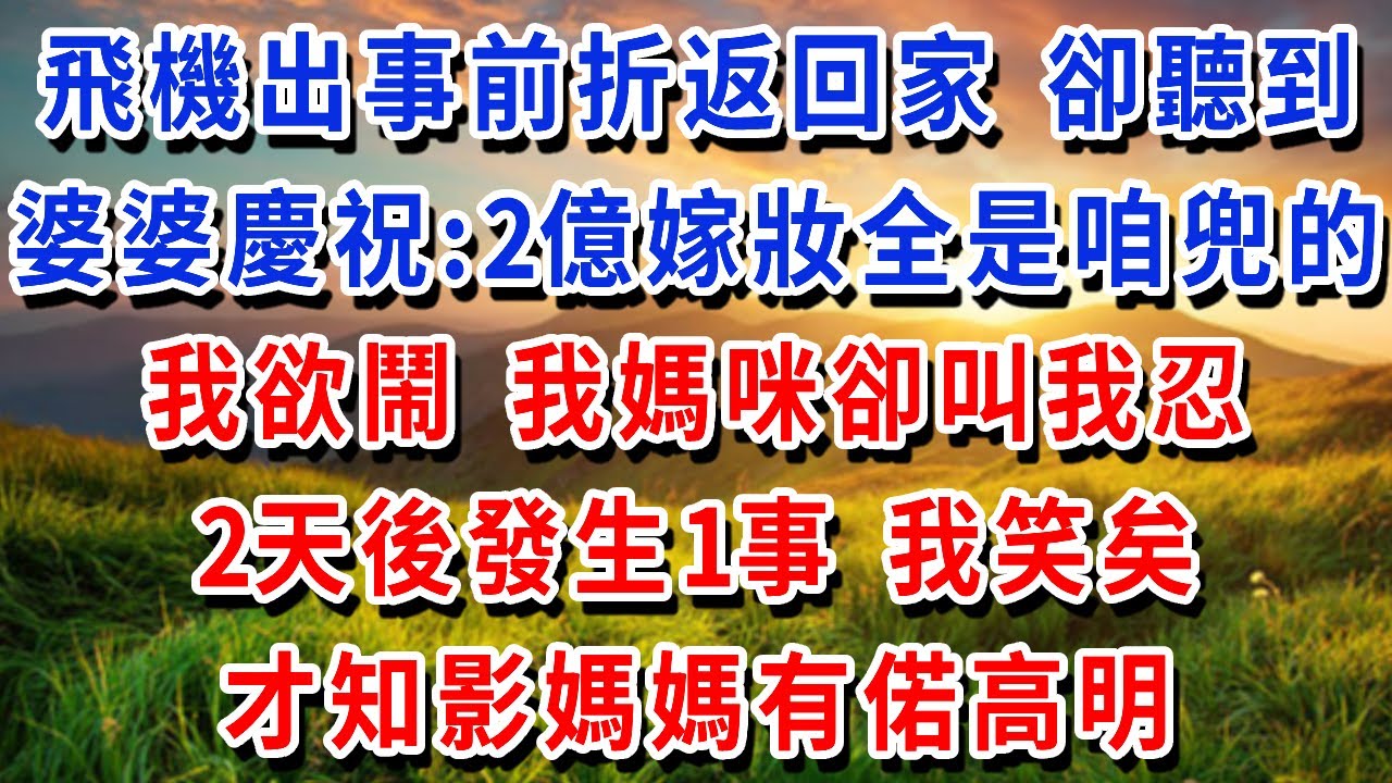 飛機出事前30分鐘，忘拿東西折返回家，卻聽婆婆慶祝：2 3億嫁妝全部是咱兜的！我欲鬧，我媽咪卻叫我忍，2天後發生1事 我笑矣，才知影媽媽有偌高明！#書婷講故事 #為人處世#生活經驗#情感故事#晚年哲理