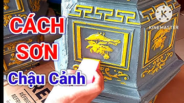 Cách sơn chậu cảnh nhanh, đẹp, dễ thực hiện. @Đất Nghệ vlog