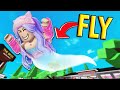 How NOOBS Can Fly Hacks in Roblox Brookhaven Rp!