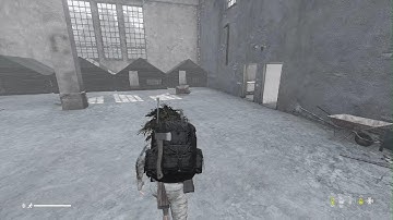 DayZ ladder push full