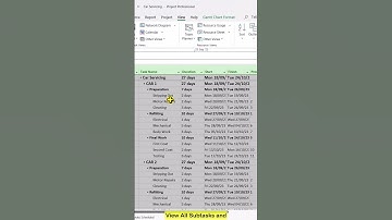 HOE TAAKBALKEN WEERGEVEN IN HET GANTT-DIAGRAM VAN Microsoft Project #msproject #microsoftproject ...