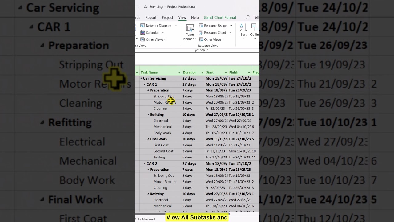 КАК ОТОБРАЖАТЬ ПОЛОСИ ЗАДАЧ в диаграмме Ганта Microsoft Project 