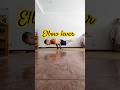 Elbow lever