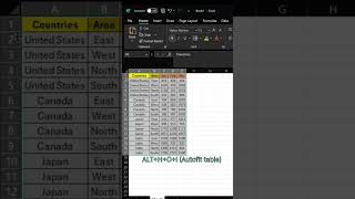 Shortcut of Border/Autofit/Row height useful while creating report. #excel #exceltricks #exceltips🙏