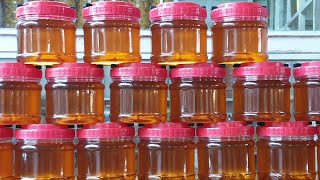 انواع واسعار العسل في تركيا