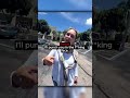 Insane Woman Freaks Out After Man Films Her