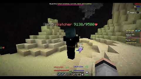 weirdest hacker in skyblock