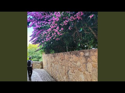 Chopin Nocturne No 20 C Minor