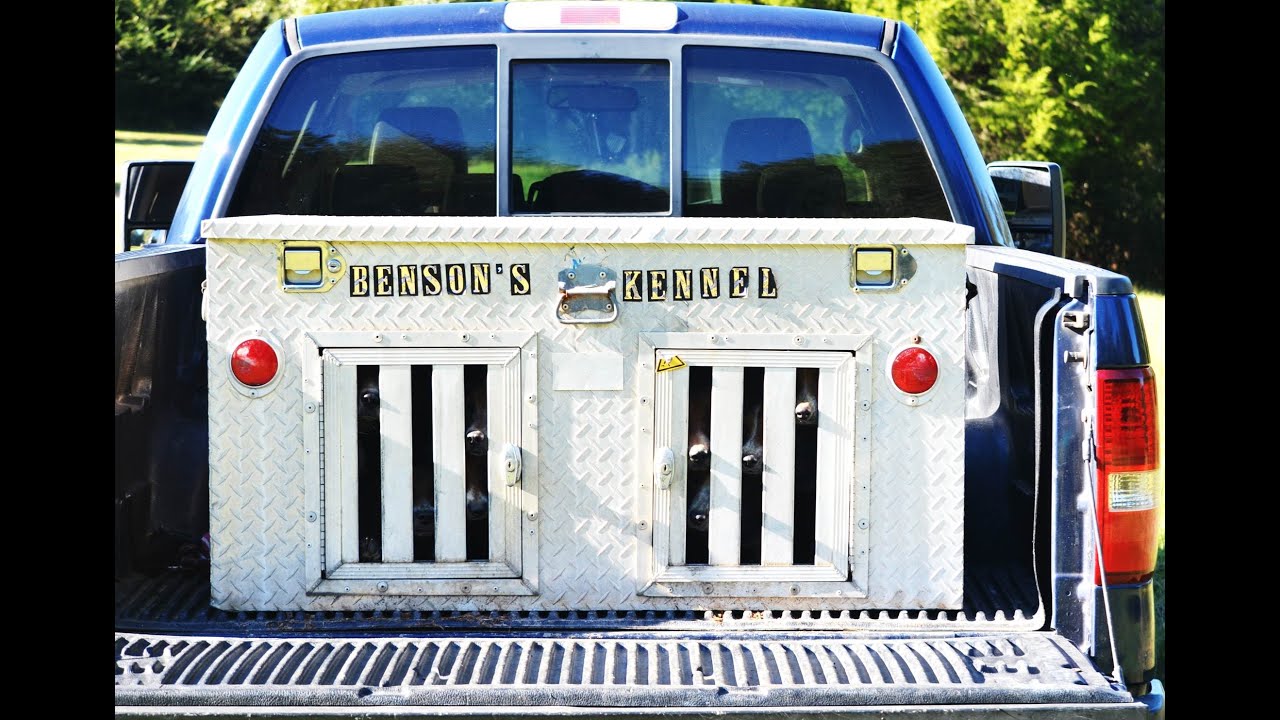 Benson's Kennel Summer Running 09.20.14 YouTube