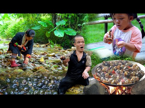 VIDEO FULL: Dwarf