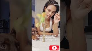 #satisfying #smartanimals 🤣😱  #animalintelligence #parrot #waitforit #doberman #viral #amazin