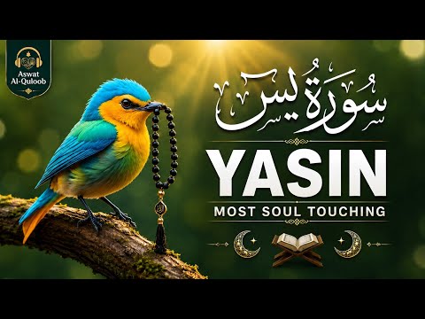 Surah Yaseen Full سورة يس 🌿 | Peaceful & Heart-Touching Quran Recitation | Ashraf Husain