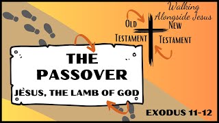 Ten 10th Plague of Egypt | Lamb of God Passover Curriculum | Bible Lesson Foreshadowing Jesus