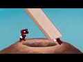 حلقات مجمعه من كرتون بطوط 