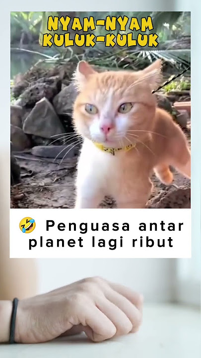 🤣 ketika penguasa antar planet ribut #komedi #funny #lucu #ngakak ##kucinglucu #kocak #lucuabis