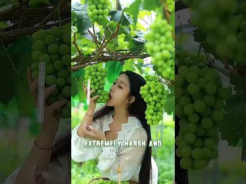 Chinese Smart Way
