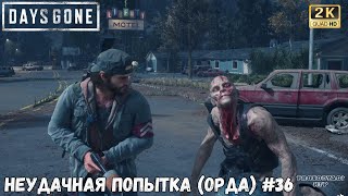 НЕУДАЧНАЯ ПОПЫТКА ОРДА ПРОХОЖДЕНИЕ DAYS GONE ДЕЙС ГАН #36