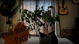 Arborist study guide chapter one - Part 2