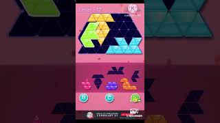 Famous Block triangle puzzle intermediate level 12 Profile
