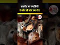 बकरीद पर नमाजियों ने कौन सी मांग उठा दी ?