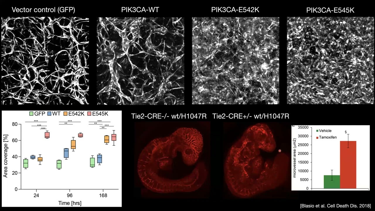 Engineering Approaches for Understanding Cellular Dynamics