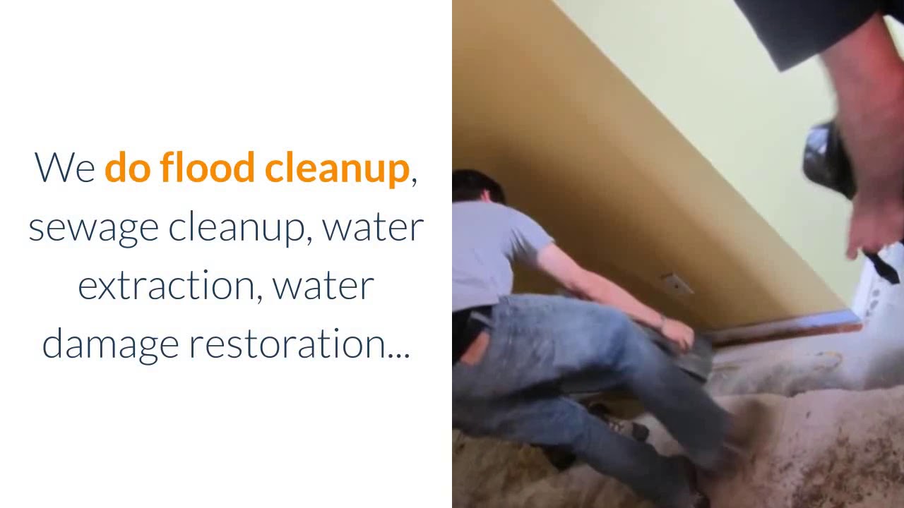 Water Damage Restoration Miramar FL | Best Local Water Damage Restoration Services
