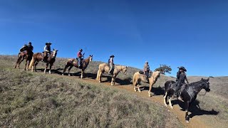 Gaited Trail Ride - Harvey Bear, San Martin, Ca - Trooper -Gaited Horse Training