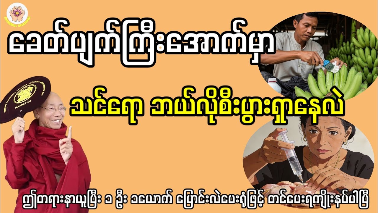 သမုဒ္ဒရာ ဝမ်းတစ်ထွာ - ဒေါက်တာနန္ဒမာလာ ဘိဝံသ(ပါချုပ်ဆရာတော်)
