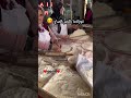 عشاق تركيا 