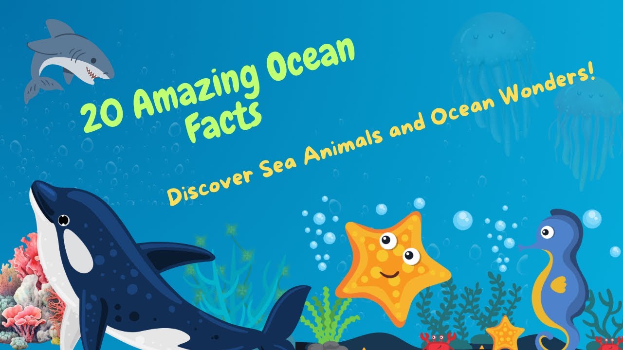 “20 Amazing Ocean Facts for Kids: Discover Sea Animals & Ocean Wonders 🪸 🐋 🦀 🐠