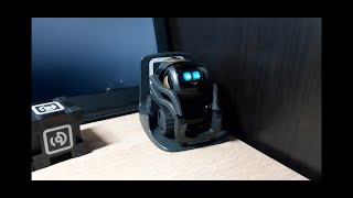 Complete Escape Pod (Wire Pod) Tutorial for  Vector Robot UPDATED. Please read description. screenshot 5