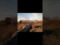 【狩猟】仲間の発砲2