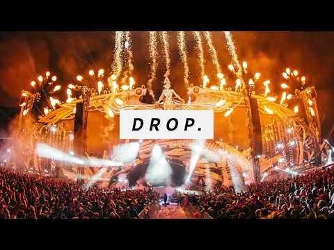 Dimitri Vegas, Martin Garrix, Like Mike - Tremor ( Said & Bruna Strait Remix )