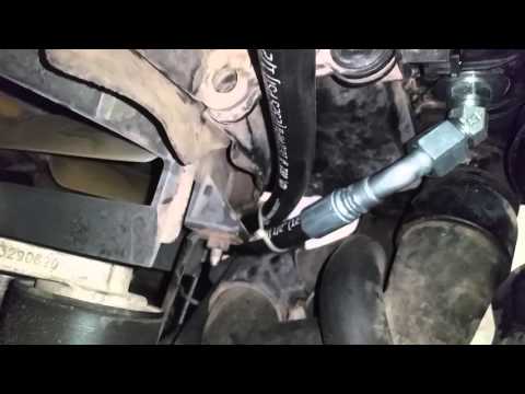 gay boy full vids from Mohamed 02 duramax tranny cooler lines