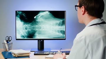 "Computer Vision: How AI Sees and Interprets Images"