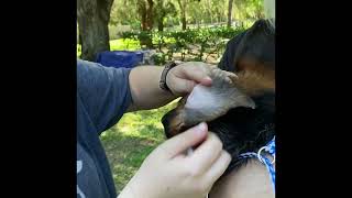 Southernwind education, Basic Ear Cleaning