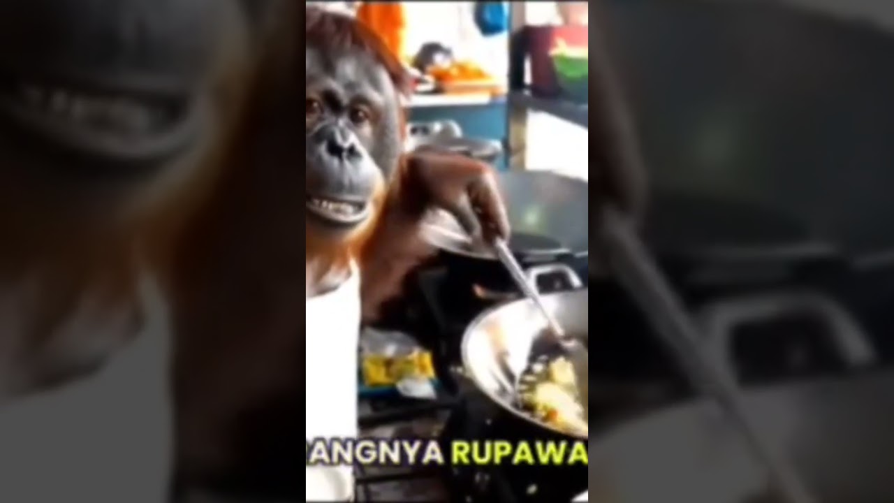 Veo 3 - jualan bakwan 