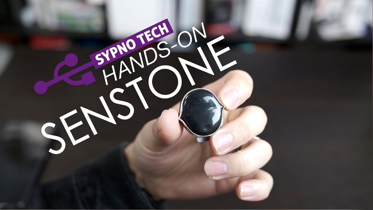 Hands On with the Senstone Portable Voice Assistant