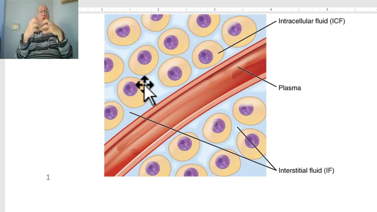Fluid and electrolyte balance in Arabic 1 (Water balance), by Dr. Wahdan.