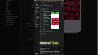 Comment intégrer une image dans une application mobile ? #flutter #tutorial #code #education