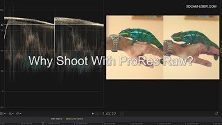 Why Shoot With ProRes Raw?