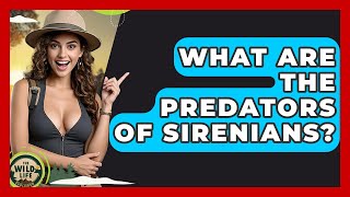 What Are The Predators Of Sirenians? - The Wild Life Explorer