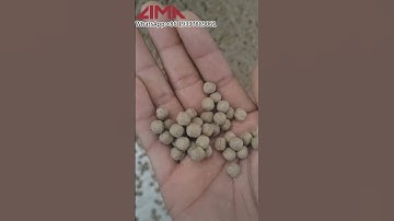 How to Produce Floating Fish Feed Using LM120 Fish Feed Making Machine?
