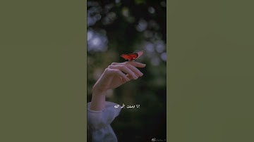 عندما تشعر بالوحده القرآن الكريم هو أفضل صديق لتكون معه😔😔😔😔😔😔💔💔