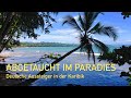 Abgetaucht im Paradies - Deutsche Aussteiger in der Karibik