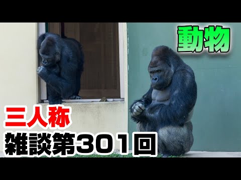 三人称雑談放送【第301回】