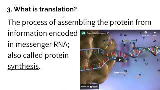 Protein Synthesis Notes