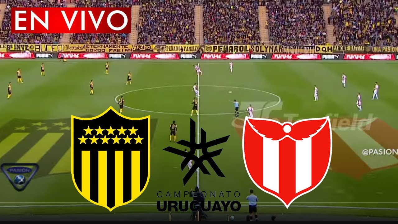 VER Nacional vs Peñarol EN VIVO HOY: Ver VTV EN VIVO gratis, vtv online  stream, VTV Uruguay online gratis rojadirecta fútbol uruguayo, Deportes