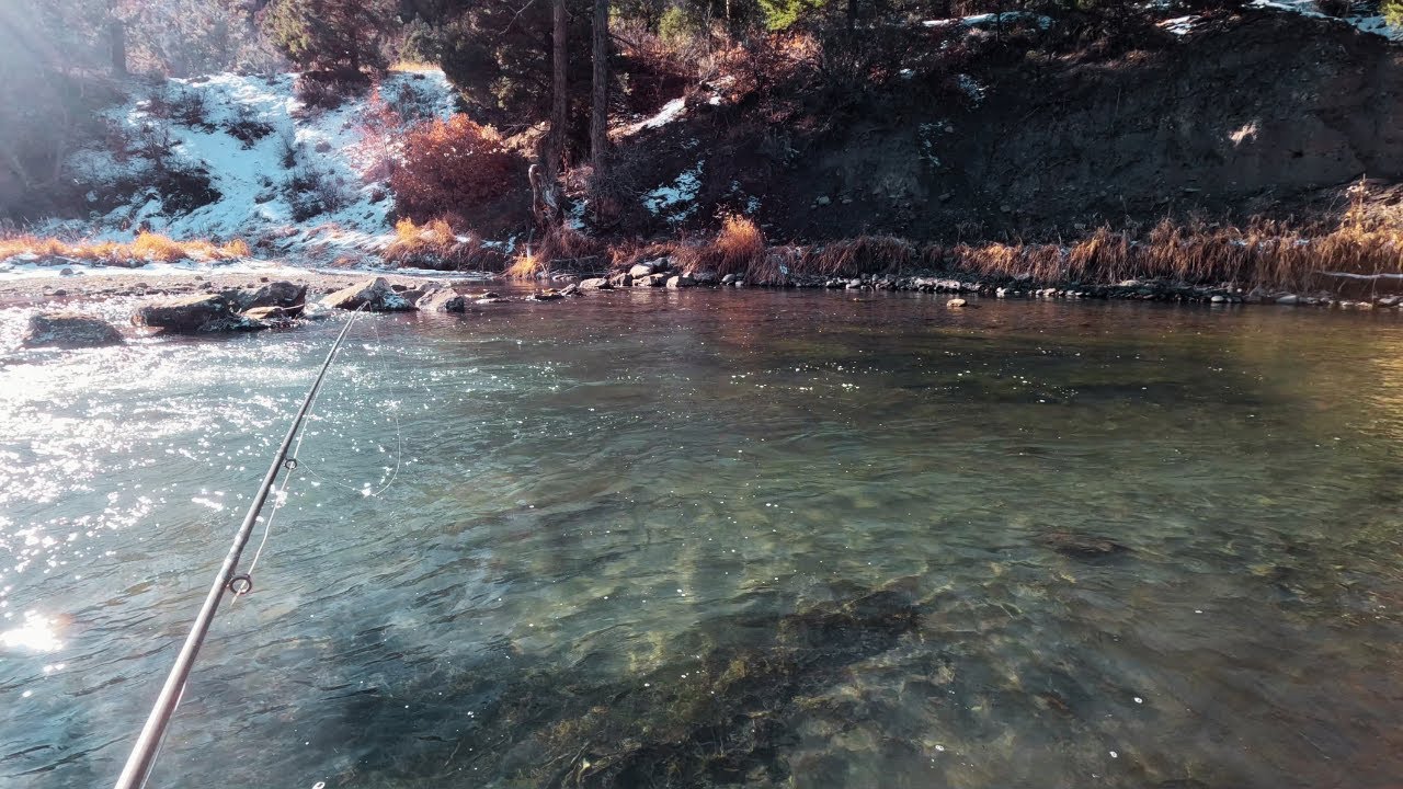 Colorado Fly Fishing Winter Road Trip!!! (Day 1) Plus New Camper Setup